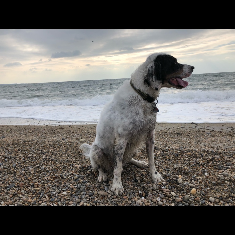 Meet your Posher, Jjulia